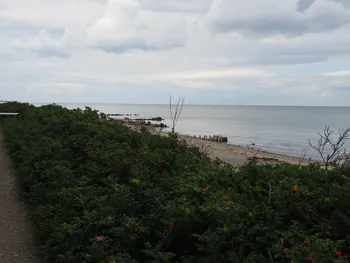 Halshuisene + Enebaerodde Beach (Denemarken)